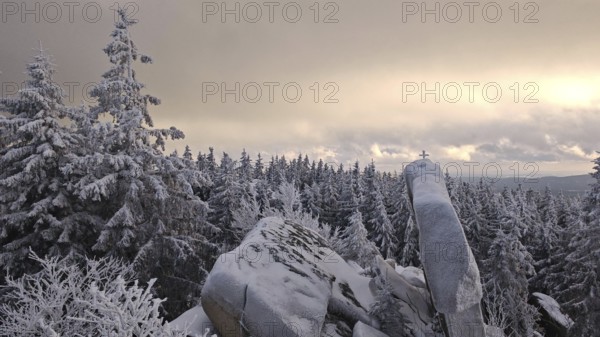 Snow-covered landscape with rocks and trees (picea) in the light of dawn under a cloudy sky,