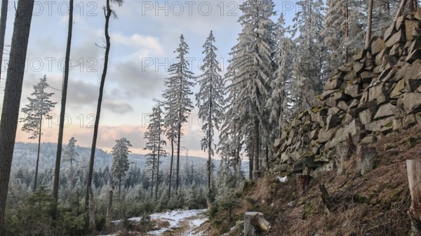 Wintery forest with snow-covered trees and rock formations under cloudy sky, quarry, atmospheric,