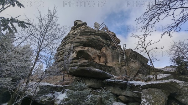 An impressive rock with a metal staircase, ladder, next to it, surrounded by snow-covered trees