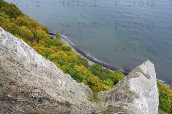 Victoria view of chalk cliffs and Baltic Sea, trees with autumn colors, view down, Jasmund National