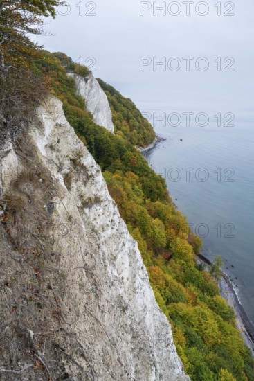 Victoria view of Königsstuhl, chalk cliffs and Baltic Sea, trees with autumn colors, Jasmund