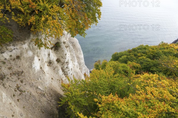 View of chalk cliffs and Baltic Sea, trees with autumn leaves, Jasmund National Park, Sassnitz,