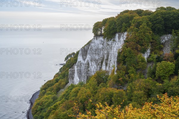 View of Victoria, chalk cliffs and Baltic Sea, Jasmund National Park, Sassnitz, Rügen island,