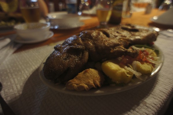 A rustic dinner with roasted guinea pig meat (caviidae), Cuy, and side dishes on a laid table,