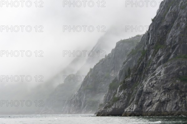 Mystical fog wraps around rock walls in a fjord, Northwestern Fjord, Kenai Fjords National Park,