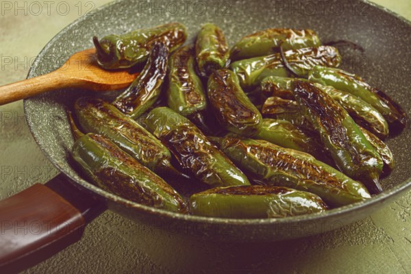Fried padron pepper, in a frying pan, with olive oil, and sea salt, homemade, no people