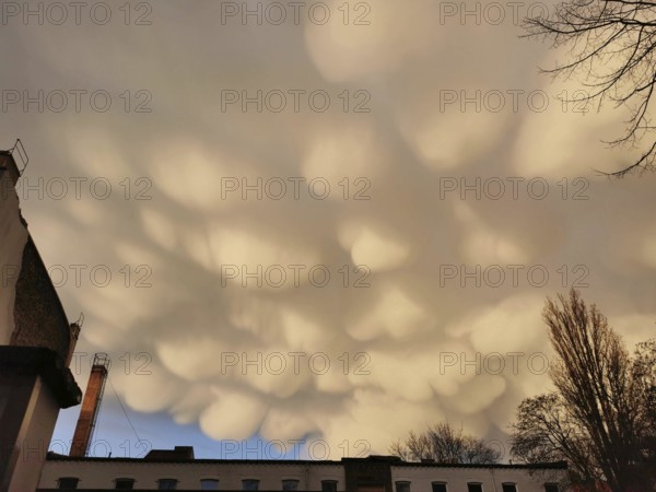 Impressive mammatus clouds float over urban landscape at sunset, Pankow, Berlin, Germany