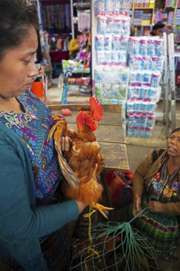 Mayan woman wearing traditional clothes with a chicken at the market in Sololá, Highlands, Sololá