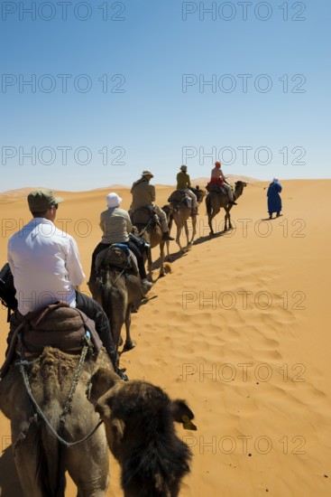 Tourists on dromedaries in the desert, near Merzouga, Meknès-Tafilalet region, Erg Chebbi, northern