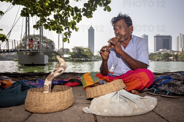 A man plays the flute in front of a snake in a basket, with an urban skyline in the background, a