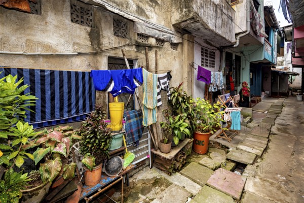 Colourful laundry and plants decorate a narrow urban alley with aged architecture