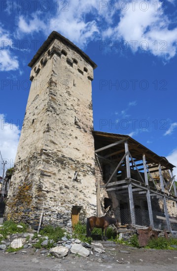 Tall stone building next to a wooden shelter with a horse against a blue sky. Rural landscape,