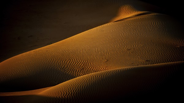 Sand dunes in the Rhub al Khali desert, detailed view, empty quarter, largest sandy desert in the
