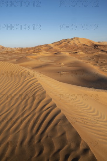 Sand dunes in the Rhub al Khali desert, empty quarter, largest sandy desert in the world, Oman