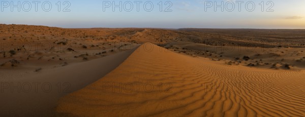 Sand dunes in the Wahiba Sands desert, Oman