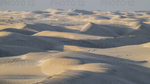 White sand dunes in the Khaluf Desert, Oman
