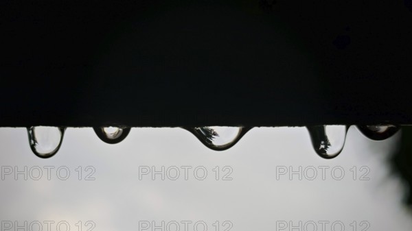 Drops of water hang on a dark surface, blurred reflections in the background, Rennsteig, Thuringian