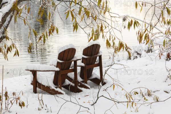 Two brown stained wooden Adirondack chairs by riverside framed by Salix - Willow tree branches