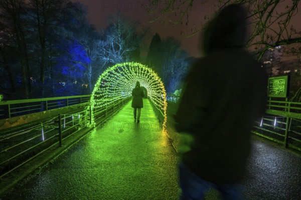 Park lights, events in winter, in the Grugapark in Essen, many different light installations,
