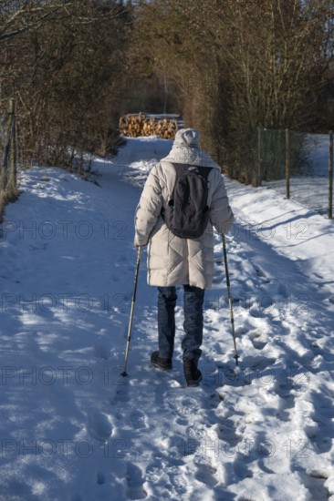 Elderly woman walking on a snow-cut path with sticks, Franconia, Bavaria, Germany