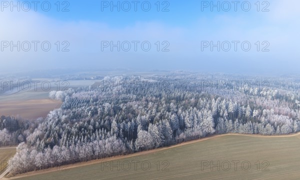 Winter forest aerial view of a mixed forest with spruces, pines, birches and beech trees covered