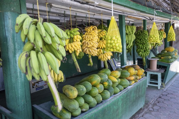 Fruit stand with bananas, Oman