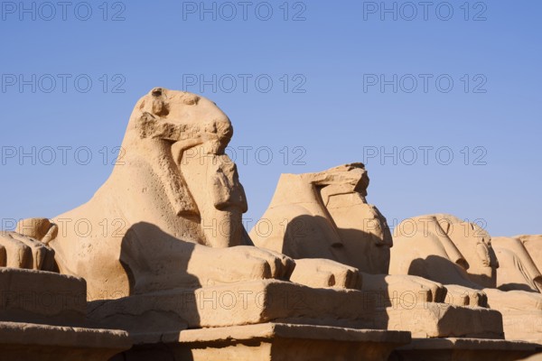 Sphinx Avenue, Karnak Temple, Luxor, Egypt