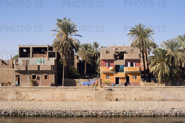 Houses and date palms on the banks of the Nile, Egypt