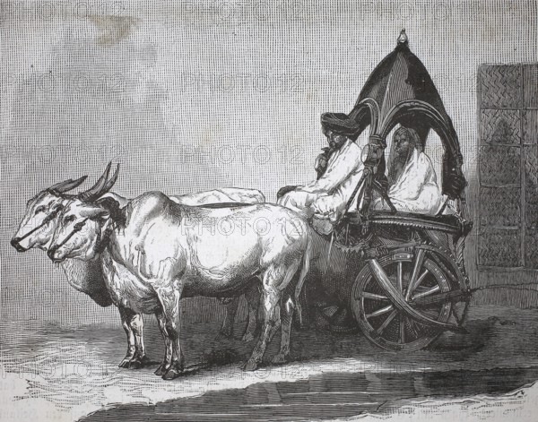 Indian touring car, single-axle tractor pulled by two cows, 1880, India, authentic, digitally