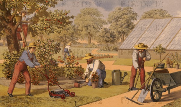 Traditional crafts, gardener at work, horticulture, around 1920, illustration, reproduction from a