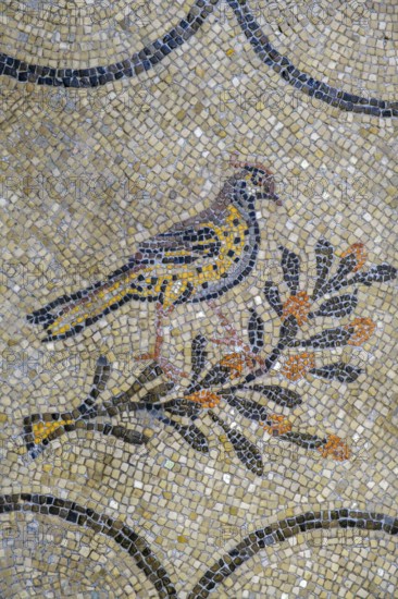 Floor mosaic, Basilica of Santa Maria Assunta of Aquileia, St. Hermagor, Aquileia near Grado,