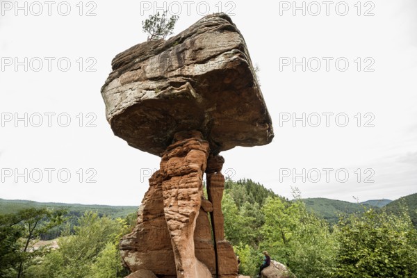 Sandstone rocks, Teufelstisch, near Hinterweidenthal, Dahner Felsenland, Palatinate Forest,