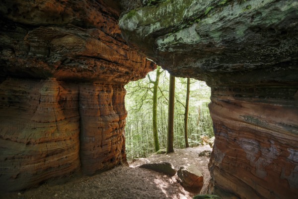 Sandstone Cliffs, Old Castle Rock, near Eppenbrunn, Palatinate Forest, Rhineland-Palatinate,
