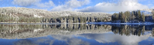 A calm lake with snow-covered trees and a clear reflection of the sky in winter, Scheibe-Alsbach