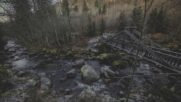 An old wooden bridge crosses a river in a dense, autumnal forest with a gloomy atmosphere,