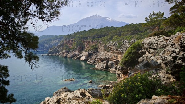 A rocky coast with clear blue water and green vegetation, with a snow-capped mountain rising in the