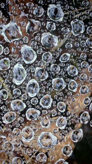 Water droplets on a spider web form a delicate, abstract pattern with reflections and transparency