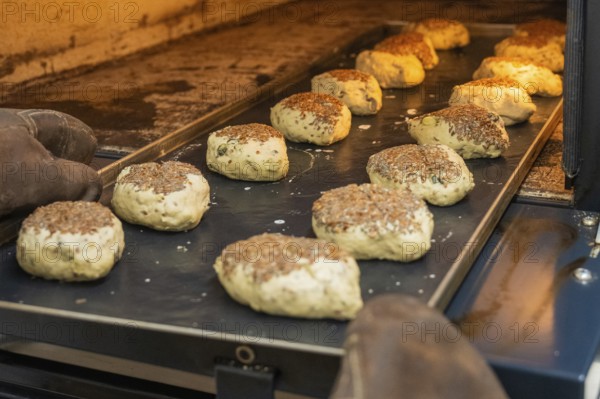 Several rolls with linseed in a warm oven on a baking tray, bake rolls, Haselstaller Hof,