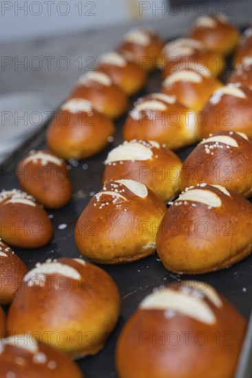 Golden brown pretzel rolls with salt spread in stripes on a baking tray, bake rolls, Haselstaller