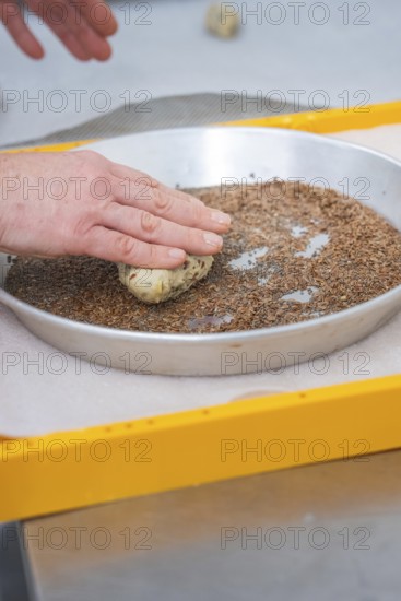 Hands press dough into seeds within a round pan to prepare, bake rolls, Haselstaller Hof,