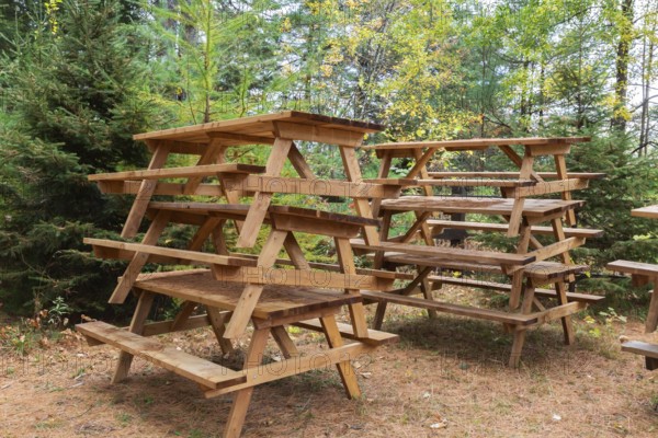 Stacked natural cedar wood picnic tables stored in forest with ground covered with shedded Pinus -