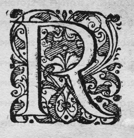 Initial, initial letter R, woodcut from Hortus Eystettensis, plant book by Nuremberg pharmacist