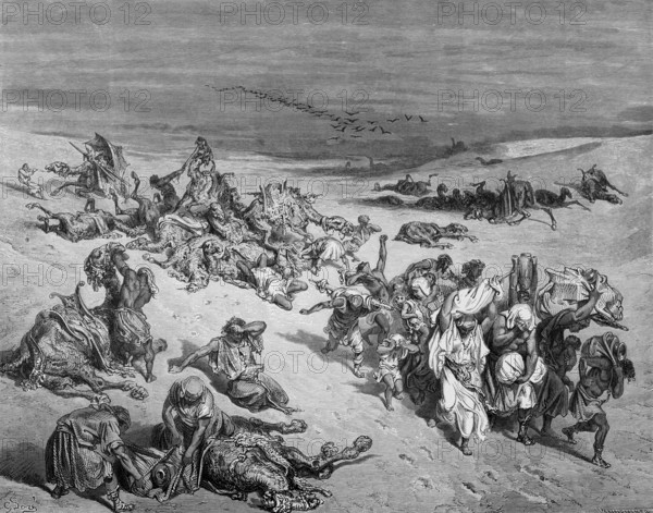 The Egyptian Plagues, The Plague, History, Exodus, Second Book of Moses, Chapter 9, Verse 6, Bible,