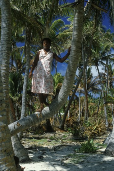 Girl looking at a coconut tree, Tavewa Island, Yasawa archipelago, Fiji