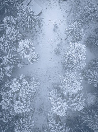 Bird's eye view of snow-covered trees and trails in winter forest, Himmelsglück observation tower