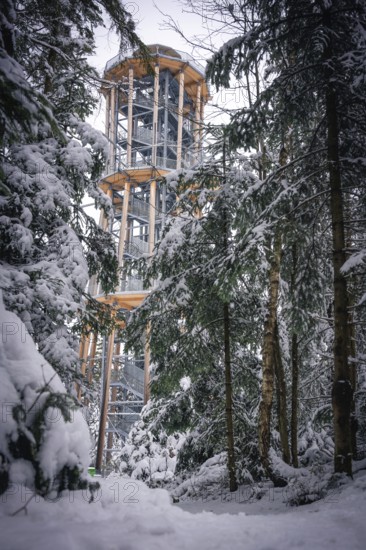 A snow-covered treetop trail rises between snow-covered trees, Himmelsglück observation tower with
