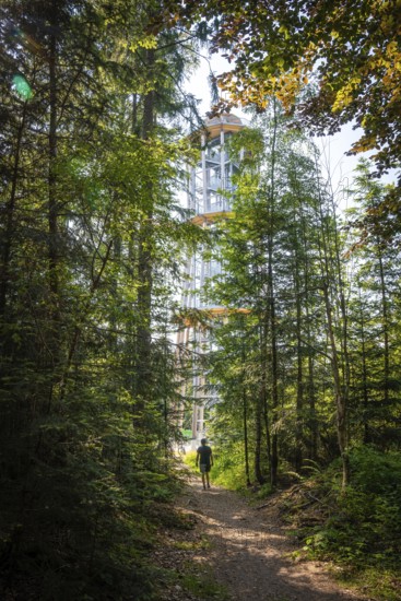 A tall tower surrounded by thick forest along a shady hiking trail, Himmelsglück observation tower