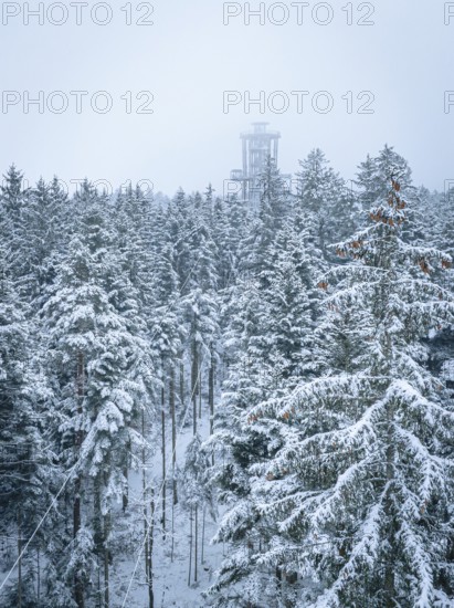 An observation tower juts out of a snow-covered forest, Himmelsglück observation tower with Flying
