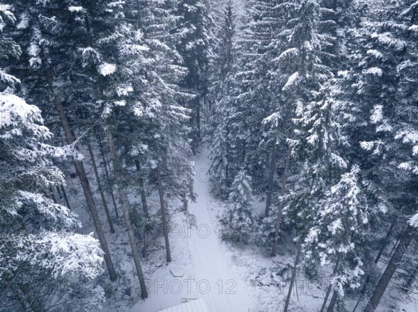Snowy forest with a secluded path in deep winter, Himmelsglück observation tower with Flying Fox,