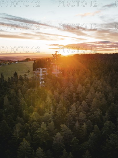 The observation tower rises out of the dense forest at setting sun, Himmelsglück observation tower